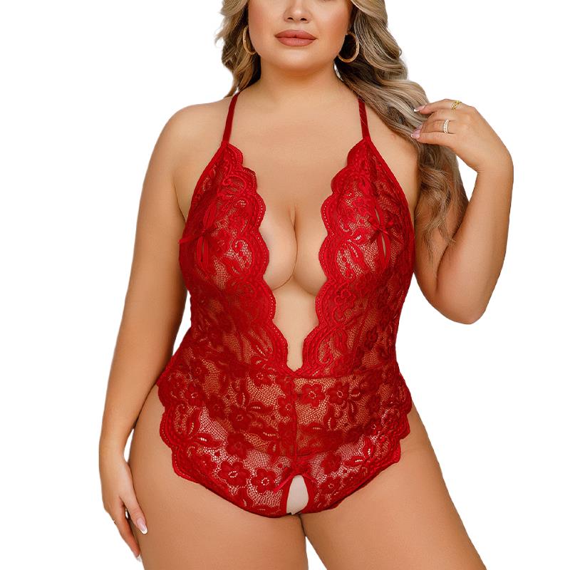 女性のレースの透明なナイトガウン、ワンピースのボディスーツ、 - Summer Zara のレビューと価格